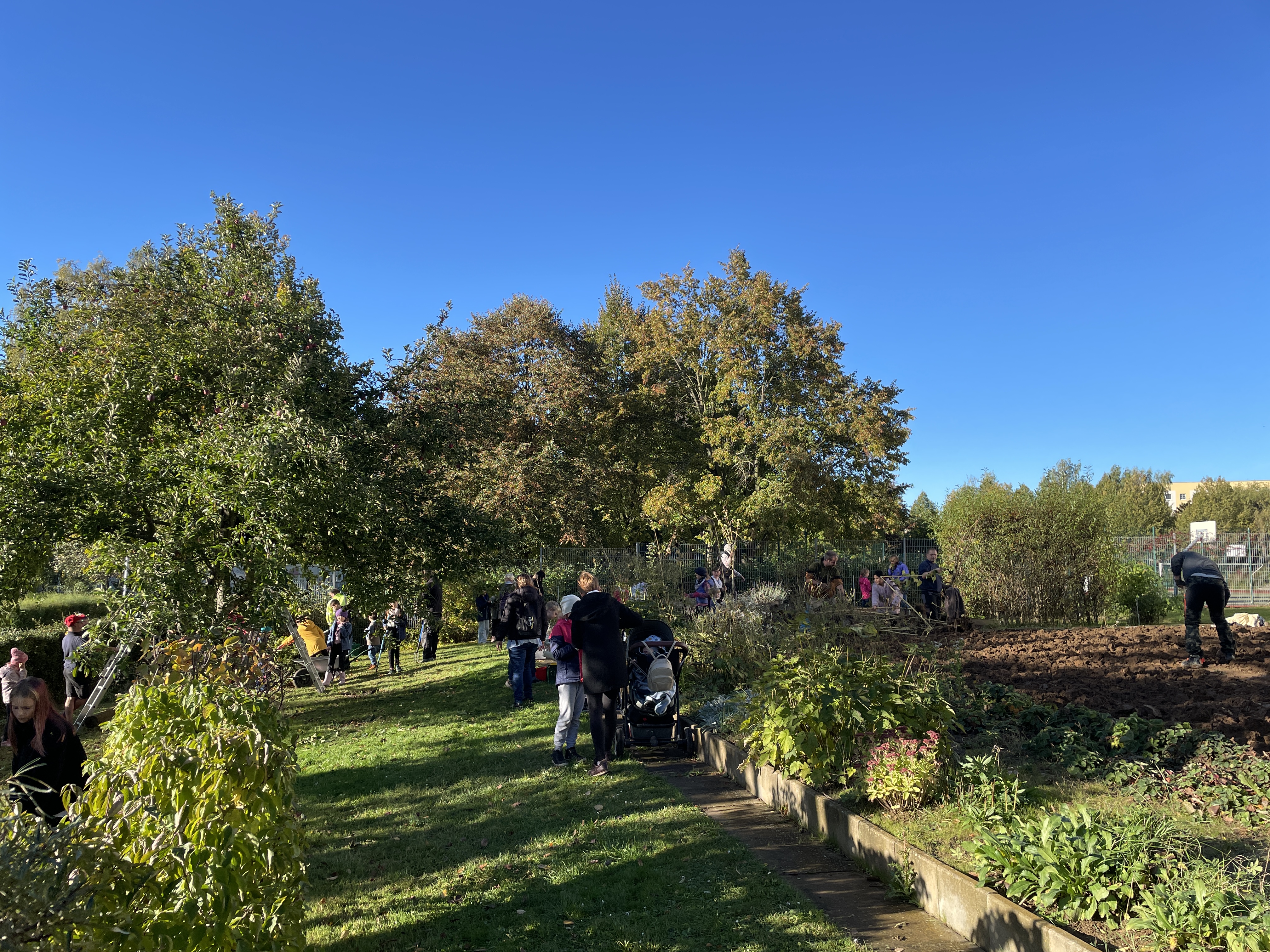 Schulgarten