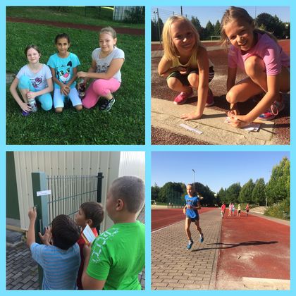 Sport